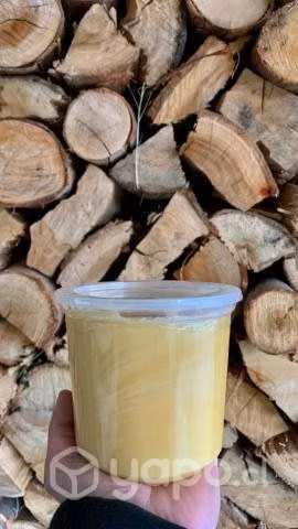 Miel ulmo 100% natural