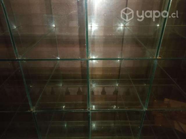 Vitrina exhibidor para Frutos Secos .