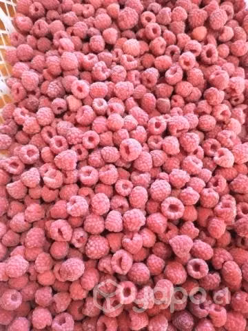Frambuesas congeladas