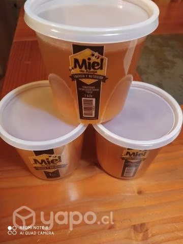 Miel multifloral