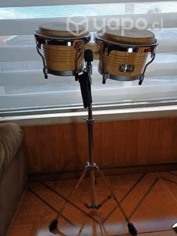 Bongo