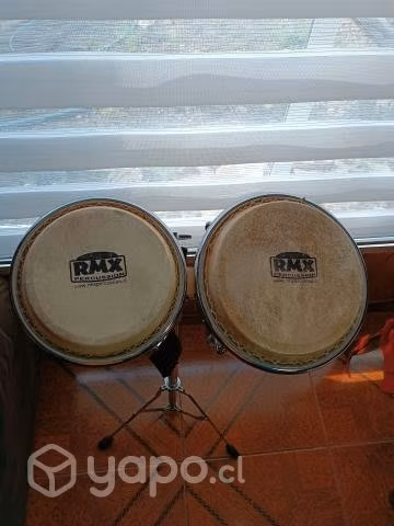 Bongo