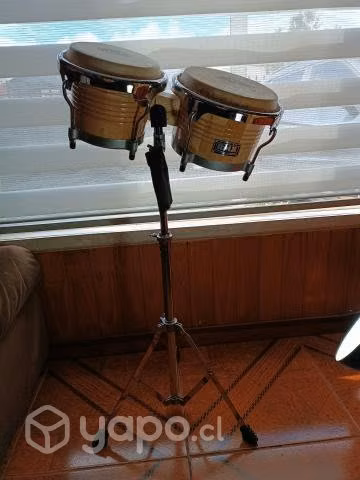 Bongo