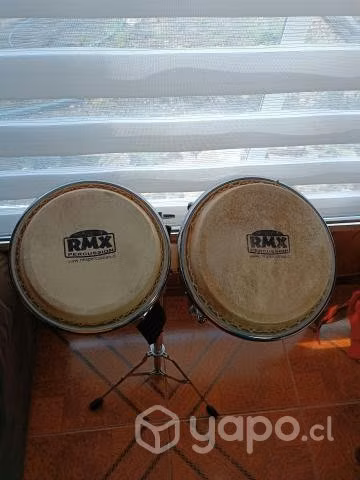 Bongo
