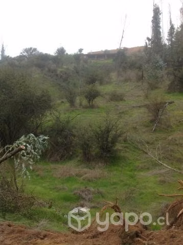 Venta de parcela de agrado en Limache