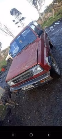 Vendo feroza