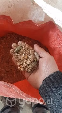 Alimento para caballo