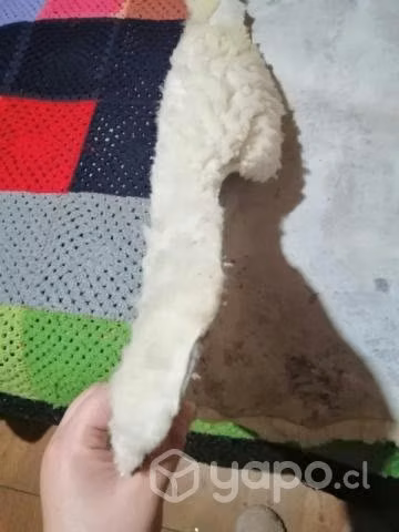 cuero de cordero - Imagen 4