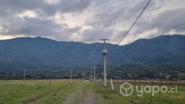 Terreno en rauco