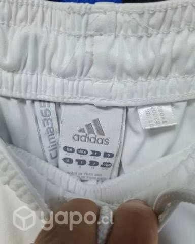 Short de futbol Rapid Viena Adidas