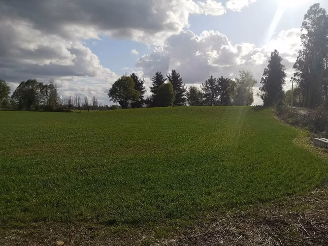 Vendo Hermosa Parcela En El Carmen, Sector Maipo Bajo