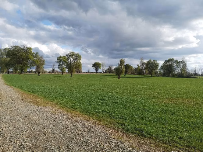 Vendo Hermosa Parcela En El Carmen, Sector Maipo Bajo