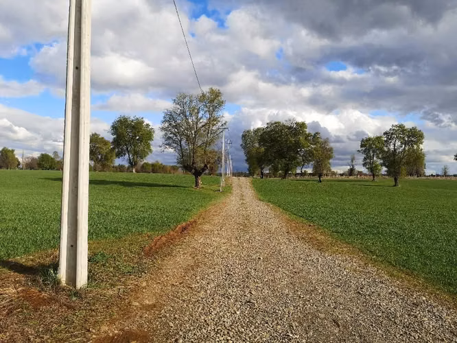 Vendo Hermosa Parcela En El Carmen, Sector Maipo Bajo