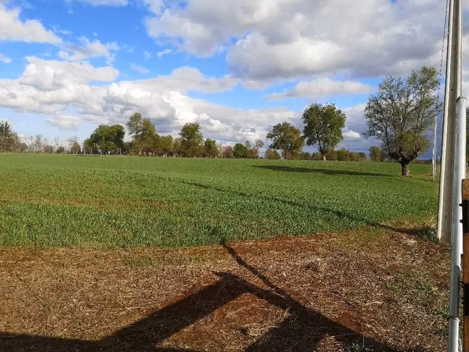 Vendo Hermosa Parcela En El Carmen, Sector Maipo Bajo