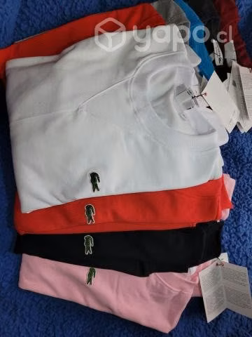Poleras y polerones