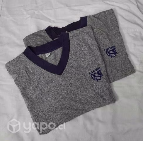 2 poleras de buzo escolar obispo San Miguel