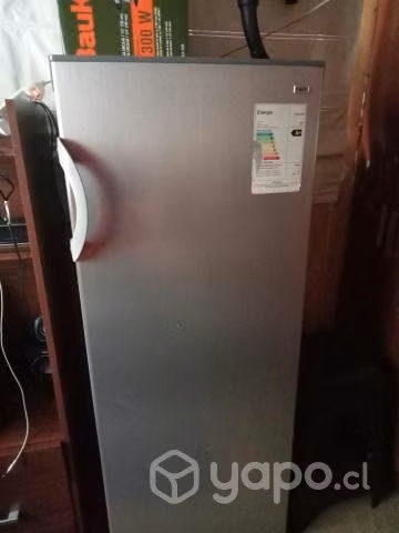 Freezer vertical