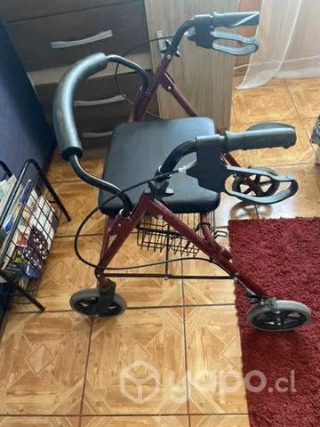 Andador adulto mayor