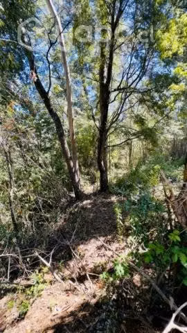 Terreno 700m2