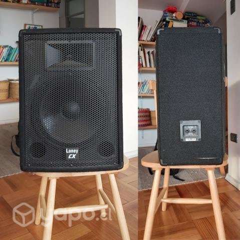 Dos parlantes Pasivos LANEY CXT-112 - Imagen 2