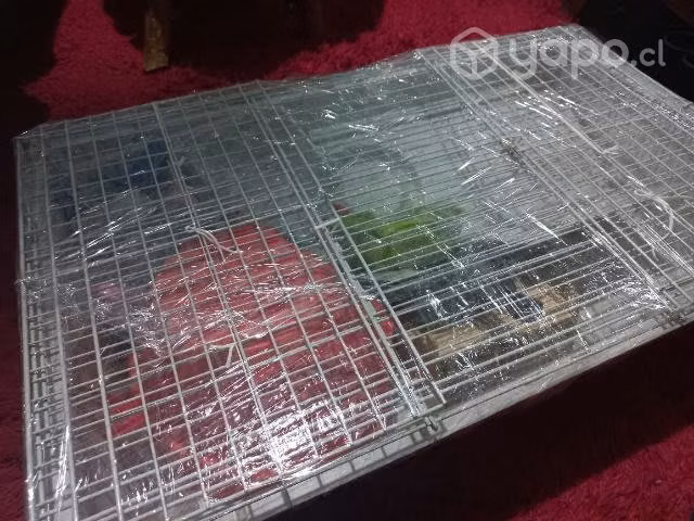 Venta de casa para cuys - Imagen 2