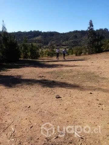 Vendo terreno - Imagen 2