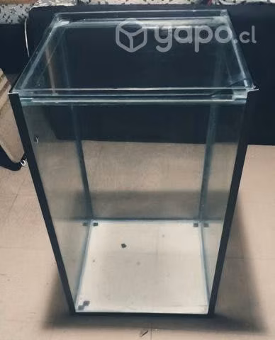 Pecera, acuario, terrario