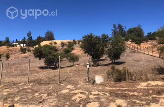 Parcela Refugio de Casablanca 7.780 mt2