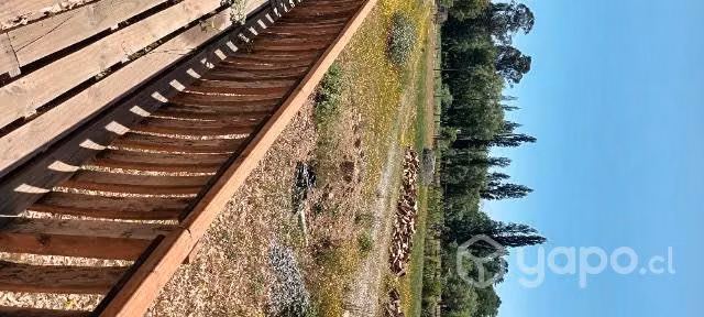 Parcela y casa