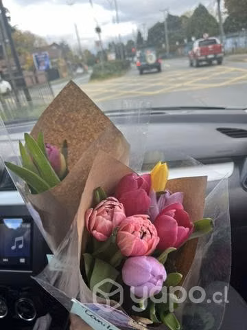 Mix tulipanes
