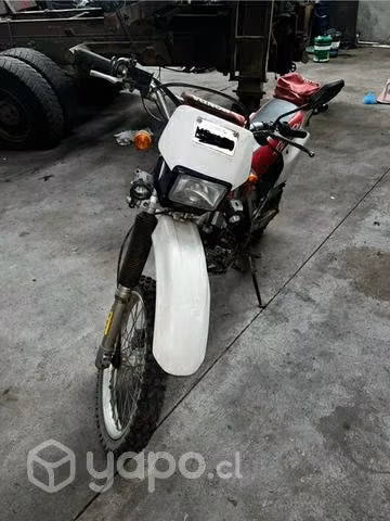 Honda XR250 2005