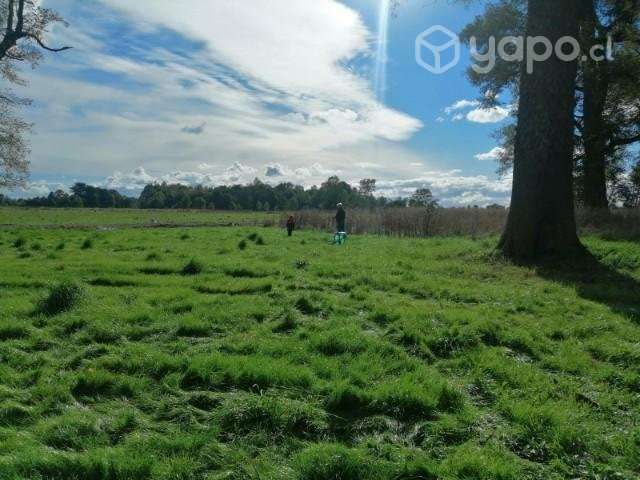 Se vende sitio en Frutillar - Imagen 3