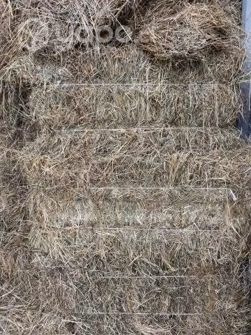 Fardos de pasto
