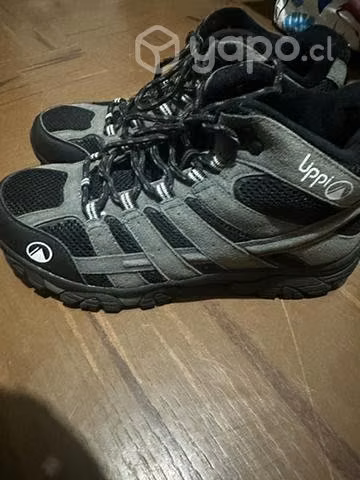 Bototos 42