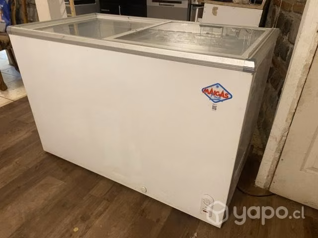 Congeladora Maigas 330 litros