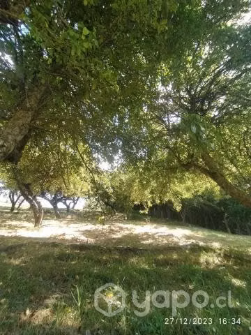 Espectacular parcela de 3 hectáreas - Imagen 5
