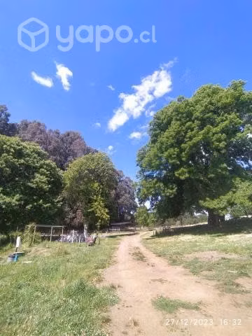 Espectacular parcela de 3 hectáreas - Imagen 9