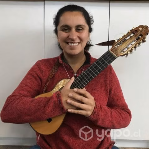 Clases de charango presencial y online