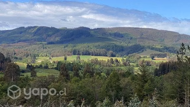 5.000 a 19.000 m2 cerca La Unión, estero, nativo, desde $20 Mill