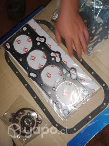 Kit empaquetadura