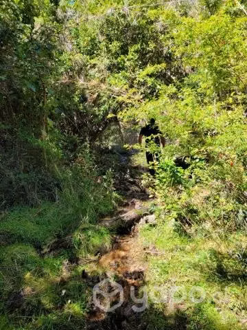 Se vende terreno en carahue (sector alto yupehue)