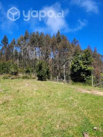 Se vende terreno en carahue (sector alto yupehue)