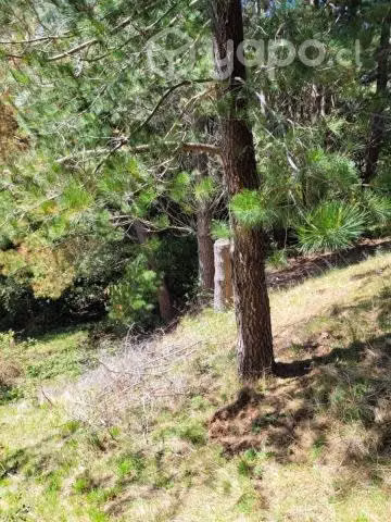 Se vende terreno en carahue (sector alto yupehue)