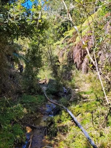 Se vende terreno en carahue (sector alto yupehue)
