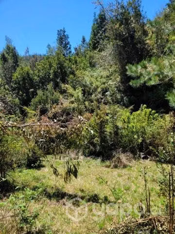 Se vende terreno en carahue (sector alto yupehue)