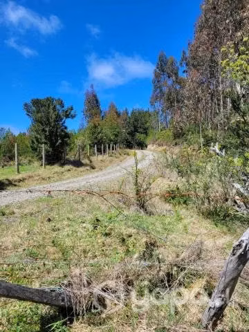 Se vende terreno en carahue (sector alto yupehue)
