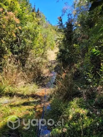 Se vende terreno en carahue (sector alto yupehue)