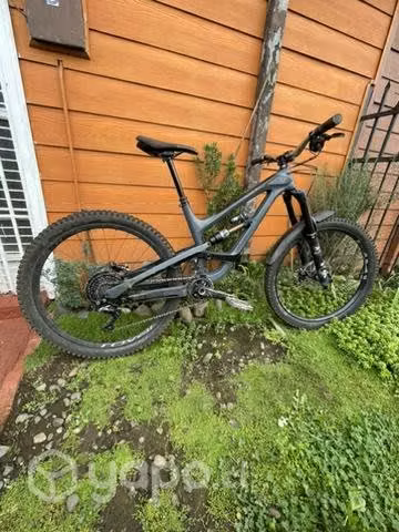 Yt capra cf pro