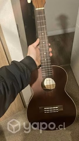 Ukelele + Funda + Cuerdas