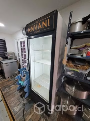 Vesicooler Usado